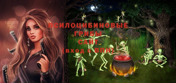 гидропоника Алзамай